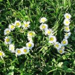 Auf der Suche nach der großen Liebe