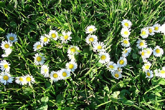 © romy mitterlechner - fotolia.com