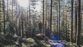 Entschleunigung – der Weg zu mehr Lebensenergie