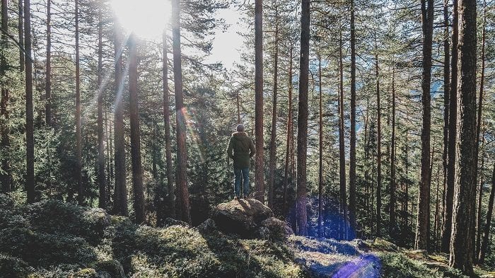 Entschleunigung – der Weg zu mehr Lebensenergie