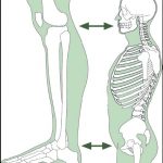 Schmerzfrei durch NPSO Therapie