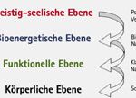 Ganzheitsmedizin versus Schulmedizin