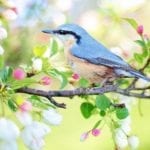 Endlich Frühling