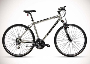 Crossbike Gepida alboin