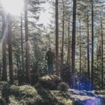 Entschleunigung – der Weg zu mehr Lebensenergie