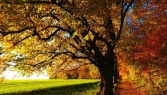 Quiz: Was Sie über den Herbst wissen sollten