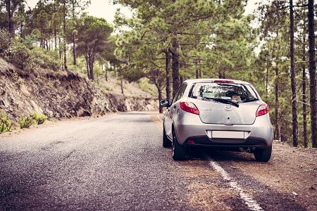 Auto steht am Straßenrand in einem Wald