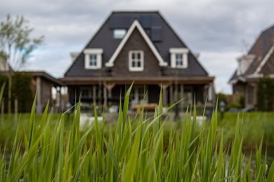 Hinter einer Wiese stehr verschwommen ein Haus