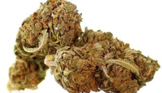 Cannabis wird salonfähig und findet breite Akzeptanz in allen Altersgruppen