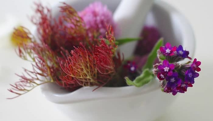 Eine Schale mit einem Mörser, in dem sich verschiedene Blumen und Pflanzen befinden