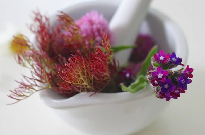 Eine Schale mit einem Mörser, in dem sich verschiedene Blumen und Pflanzen befinden