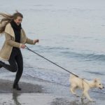 Optionen für einen Ausflug mit Hund: Welche Ziele bieten sich an?