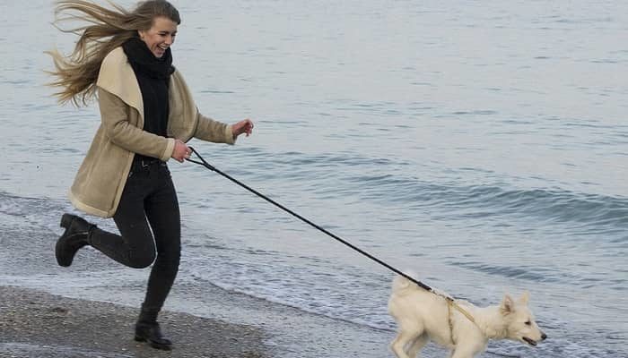 Eine junge Frau hat sehr viel Spaß, Sie läuft mit einem Hund an der Leine am Strand entlang