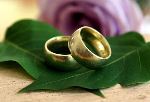 Zwei goldene Eheringe sind auf zwei grüne Blätter dekoriert