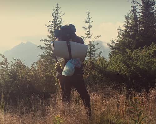 Ein Wanderer steht vor einem Wald und sieht dazwischen verschiedene Berge