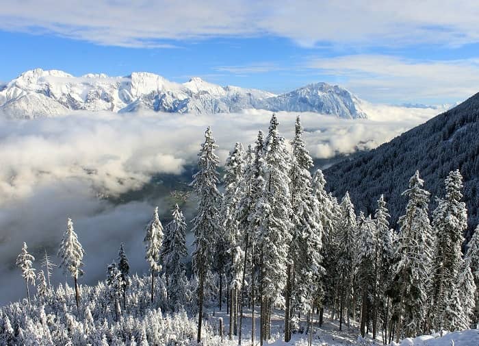 Ein Blick auf schneebedeckte Bäume und im Hintergrund schneebedeckte Berge