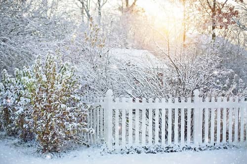 Ein verschneiter Garten, viele Bäume und Sträucher und im Hintergrund die Sonne