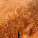 Vorteile von Holzöl für Holzmöbel