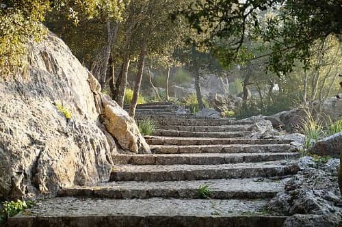 Eine breite Steintreppe führt zwischen Felsen und Palmen nach oben