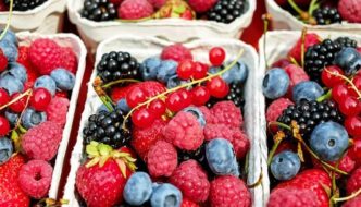 Beeren aus dem eigenen Garten genießen