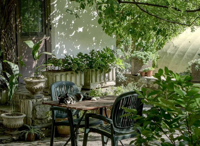 Eine Katze liegt auf einem Tisch im Garten dahinter lauter kunstvolle Übertöpfe