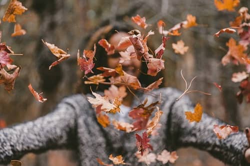 Eine Frau mit dickem Wollpullover wirft Herbstlaub in die Höhe