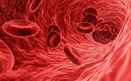 Man sieht in dieser Grafik, wie Blutzellen durch eine Ader geschleust werden