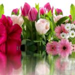 Eine blühende Geste: Alte Verbindungen mit der Magie der Blumen beleben