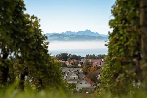 Eine Ortschaft und im Hintergrund Berge, dazwischen über dem Bodensee Wolken