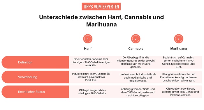 Grafik erklärt die Unterschiede von Hanf, Cannabis und Marihuana