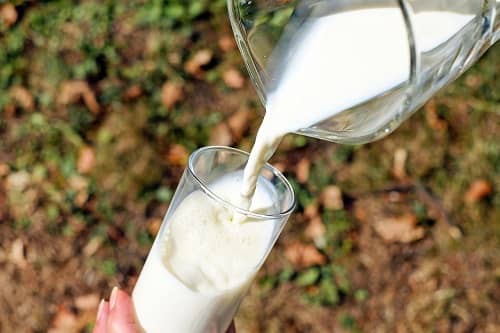 Ein Glas Milch wird aus einer Karaffe eingeschenkt
