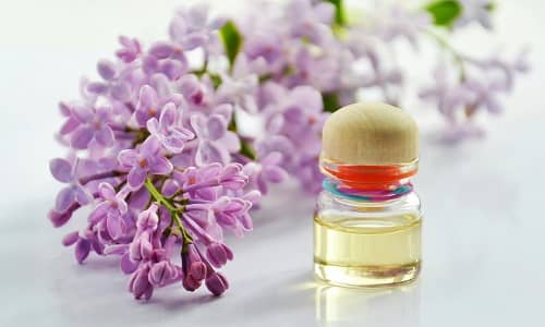 Eine Fliederblüte liegt neben einem Fläschchen mit Duftöl